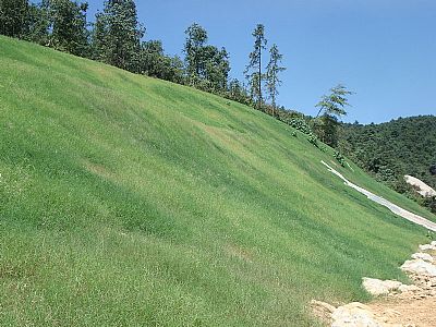 客土噴播邊坡綠化